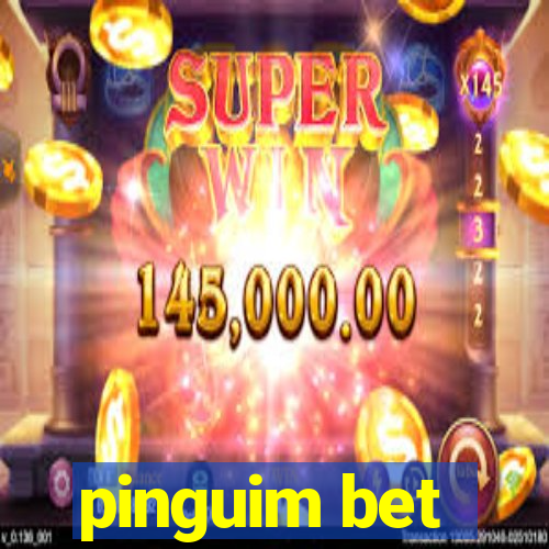 pinguim bet